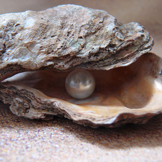 Finding a pearl in an oyster